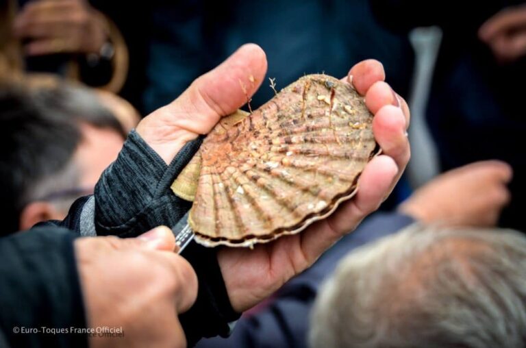Fête de la Coquille St-Jacques