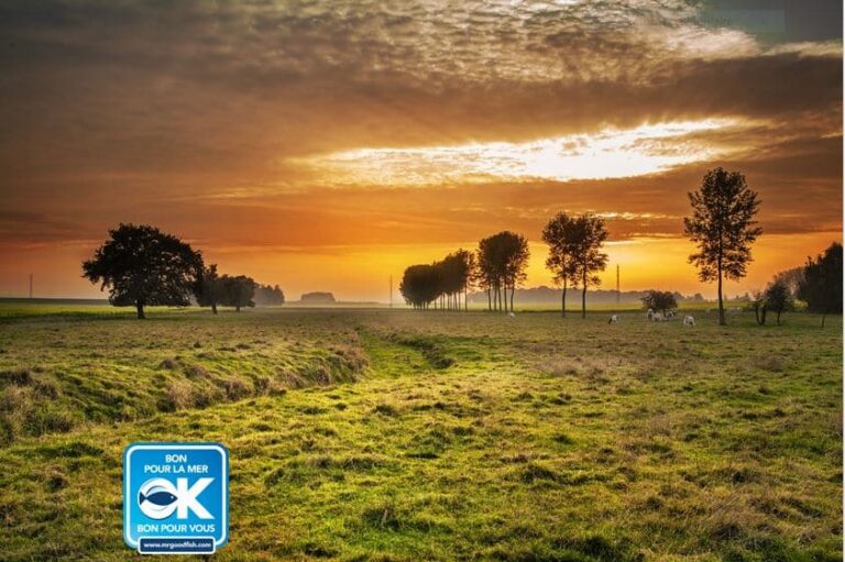 Salon de l&rsquo;Agriculture 2018