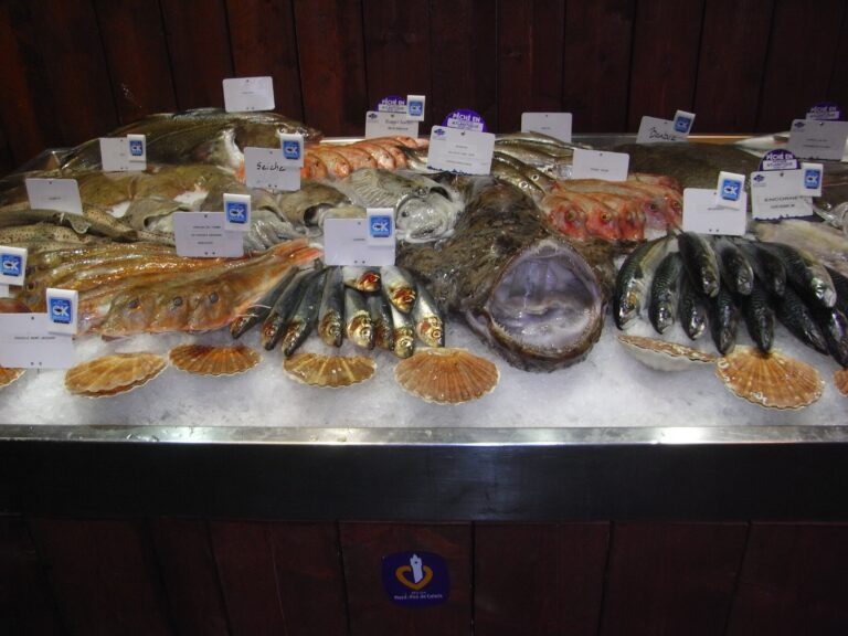 Les recommandations de Mr.Goodfish pour le printemps 2018