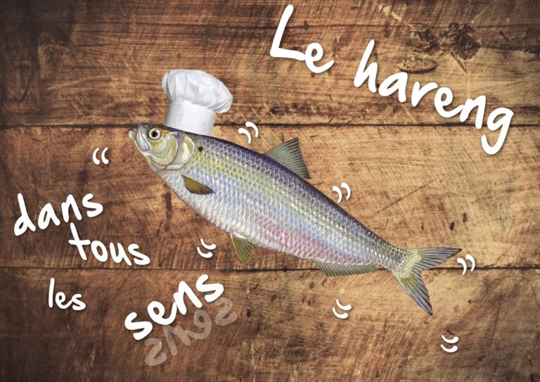 Les produits dans tous les sens pour la fête de la Gastronomie