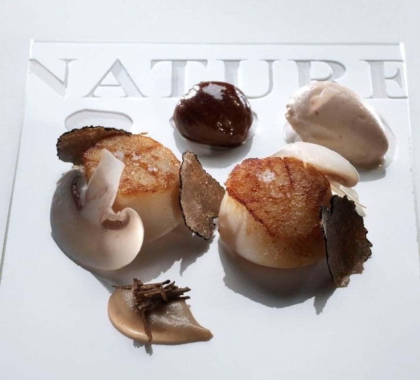 Saint Jacques au Poêlon, Bavaroise de Porto