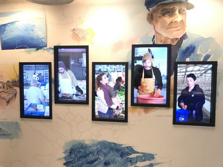 De nouveaux outils Mr.Goodfish : une exposition et des vidéos