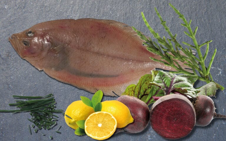 Filets de cardine rôtis, vinaigrette salicorne-betterave