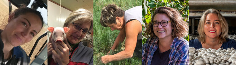 Journée des droits de la femme