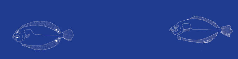 Espèce du mois : Les cardines