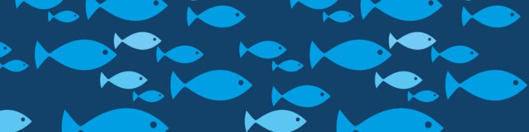 Les comités : le fonctionnement et les structures