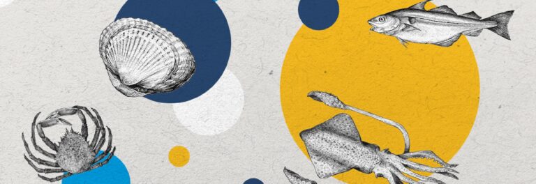 Actualités : Le concours de cuisine Mr.Goodfish