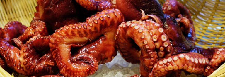 Le festival des terroirs & Seafood Expo Barcelone