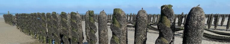 Portrait : Paulin Leconte, Comité Régional de la conchyliculture