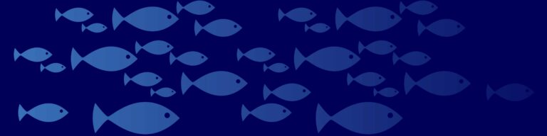 Follow the fish: De la mer à l&rsquo;assiette